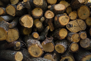 Fire wood stock for winter. Background of dry chopped firewood logs stacked on top of each other in a pile. Background stack of wood.