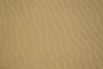 sand full of shapes