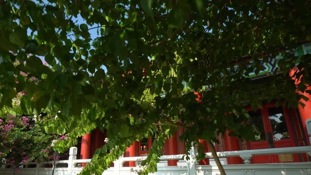 Chinese Temple and Blooming Tree