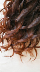 Brown hair female model facing back - Close-up.