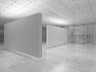3d empty minimalist interior design