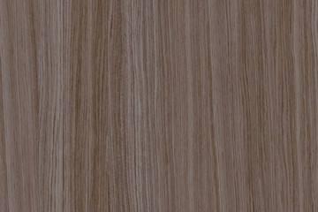 brown tree timber lumber wooden texture wallpaper backdrop