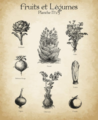 Gravures anciennes Fruits & Légumes N°1/5
