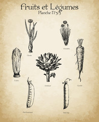 Gravures anciennes Fruits & Légumes N°5/5