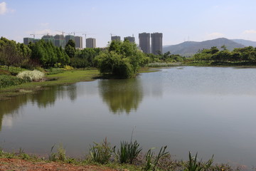 Fototapeta na wymiar View of water swamp in Kunming
