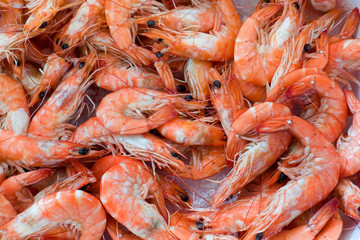 Close up af fresh shrimps