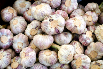 Fresh garlic