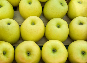 Golden Delicious apples on a market stall