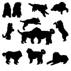Set of black silhouette of dogs bobtail on white background.