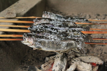 釣った魚の丸ごと塩焼き