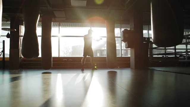 Wide backlit shot of professional boxer practicing punches in slow motion standing in sunlight using heavy boxing bag in gym