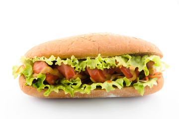 Hot Dog isolated