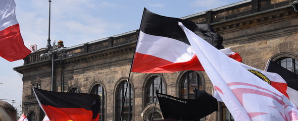 Im Wind wehende Fahnen der rechtsextremen NPD