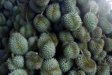 Durian, King of Tropical Fruits in Thailand and Southeast Asia.