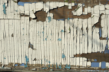 Fototapeta na wymiar background consisting of aged boards with traces of weathering, scratches
