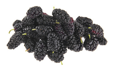 mulberries berries isolated on white background.