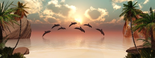 Dolphins playing at sunset near a tropical island with palm trees © ustas