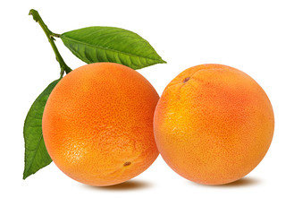 Fresh grapefruit isolated on white background  with clipping path
