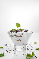 Tiramisu on white background