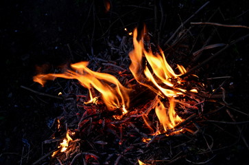 Small folded branches burn in the fire.