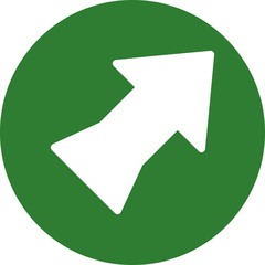Right Direction Arrow Icon