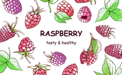 Raspberry hand drawn background, sweet and tasty