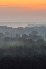 Mystical view from top on forest under haze at early morning. Mist among layers from tree silhouettes in taiga under warm predawn sky. Morning atmospheric minimalistic landscape of majestic nature.