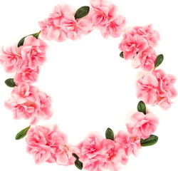 Obraz na płótnie Canvas Pink flowers azalea pattern Wreath frame isolated on white background. Top view. Copy space. Holiday concept