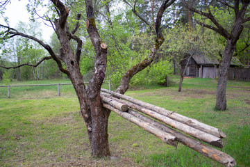 green meadow near the country house
