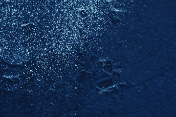 Vintage blue background. Rough painted wall of sapphire color. Imperfect plane of blue colored. Uneven old decorative toned backdrop of cyan tint. Texture of sapphirine hue. Ornamental stony surface.