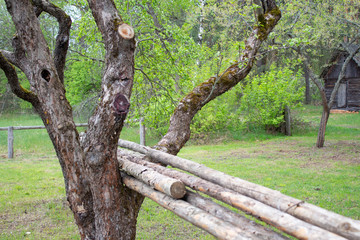 green meadow near the country house