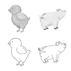 Vector illustration of breeding and kitchen  symbol. Collection of breeding and organic  stock symbol for web.