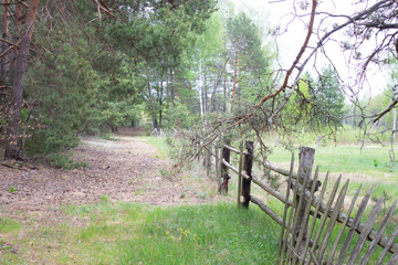 green meadow near the country house