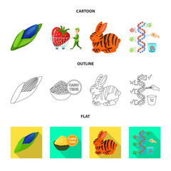 Isolated object of test and synthetic icon. Set of test and laboratory vector icon for stock.