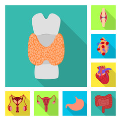 Vector illustration of human and health logo. Collection of human and scientific stock vector illustration.