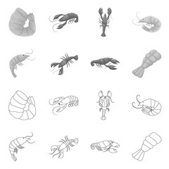 Vector illustration of appetizer and ocean sign. Set of appetizer and delicacy vector icon for stock.