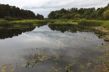 The river landscape behind the dam.