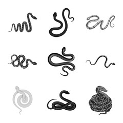 Fototapeta premium Isolated object of harm and bite icon. Collection of harm and reptile vector icon for stock.