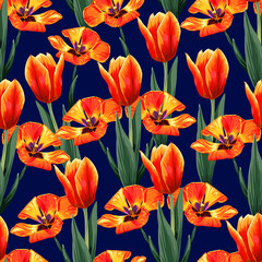 Obrazy na Szkle  Wzór pomarańczowy kolor tulipany kwiaty na ciemnym niebieskim tle izolowania. Ilustracja wektorowa rysunku stylu przypominającym akwarele. powtórz kwiatowy wzór tapety nadruk z tkaniny.