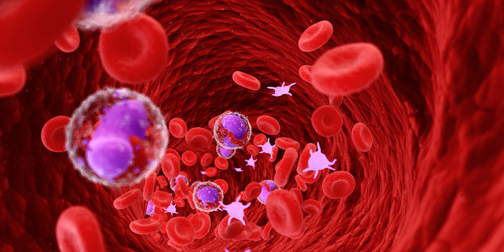 3d rendered medically accurate illustration of the human blood cells and lymphocytes
