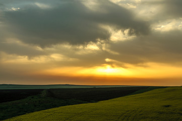 Landscape - Field and morning sun