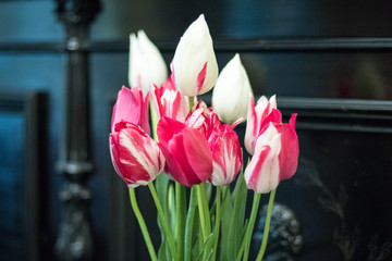 pink and white tulips on the piano background