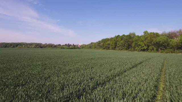 Wheat Field And Distant  Castle With White Towers