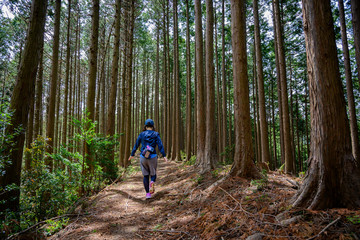 Fototapeta premium 山道を歩く女性、山登りのイメージ、アウトドア