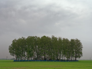 fenced cemetery with birches in the spring field