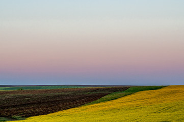 Landscape - Field and morning sun