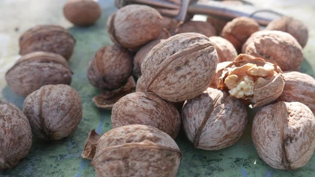 Kernel Nut, Cracked and Whole Walnut on Old Green Desk
