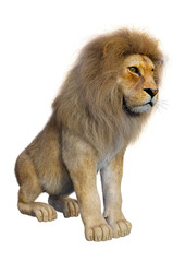 Fototapeta na wymiar 3D Rendering Male Lion on White