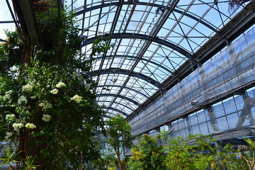 Obraz premium 温室と植物