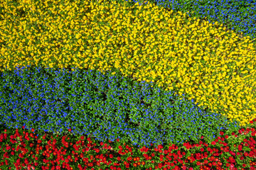 Fototapeta na wymiar Blumenrabatte mit gelben, blauen und roten Blumen von oben